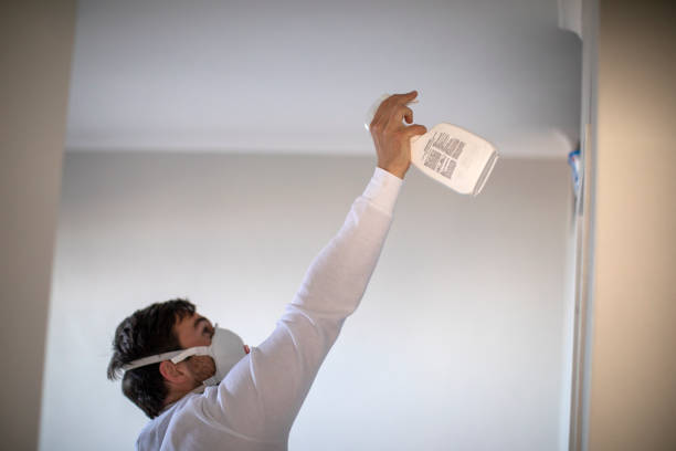 Best Crawl Space Mold Removal  in Bayou La Batre, AL